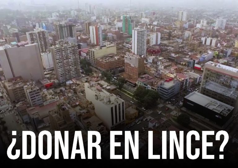 lince_1.jpg