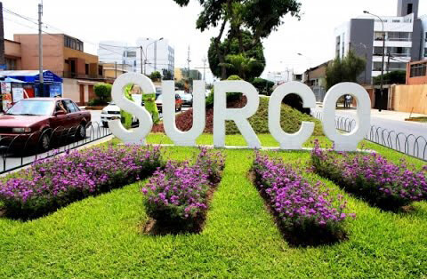surco_2.jpg